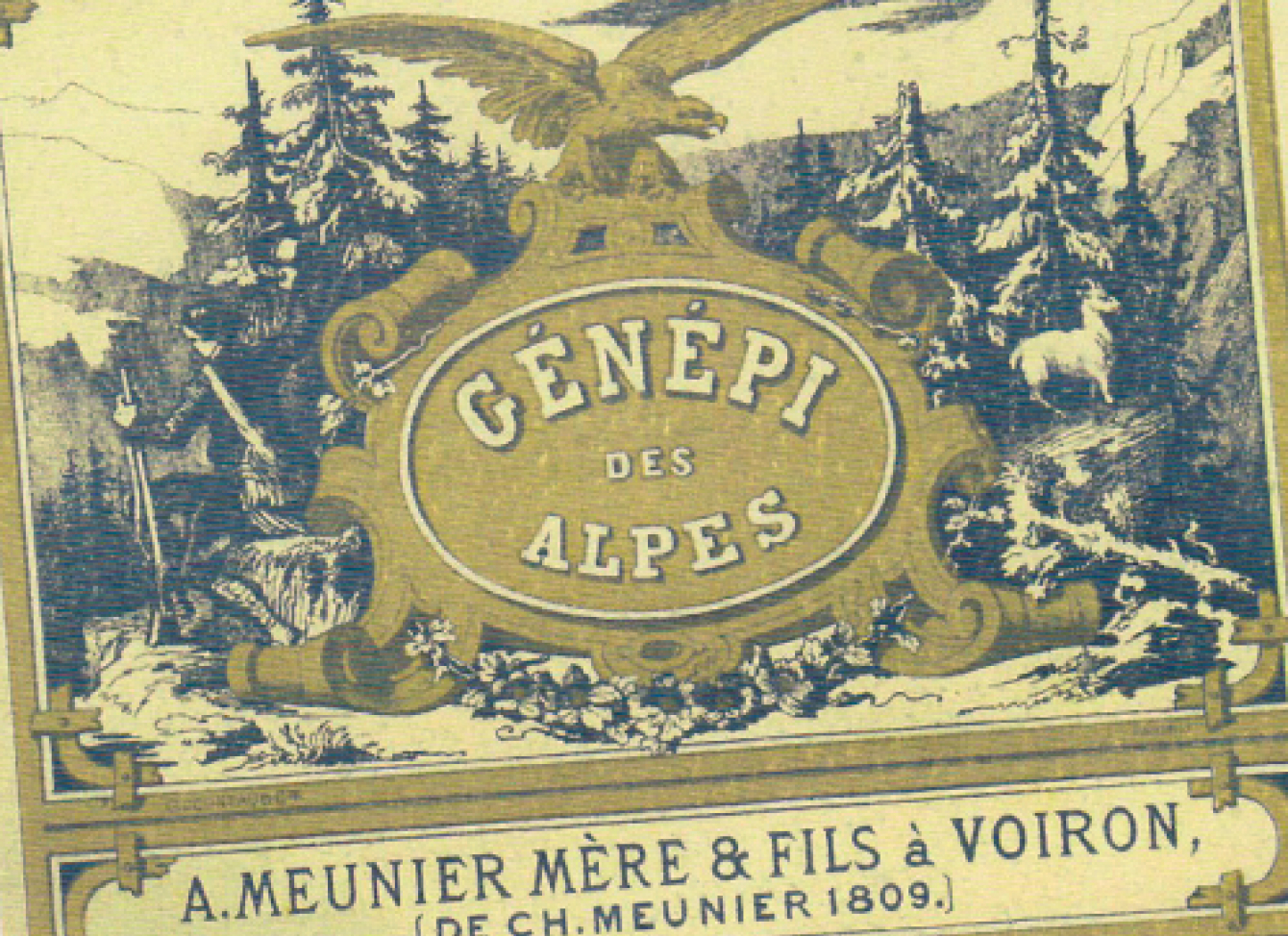 genepi des alpes 2